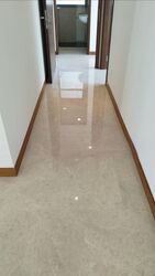 Residences @ Evelyn (D11), Condominium #558074371